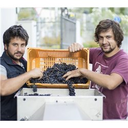 Azienda Agricola Comai - Morer Rebo 2021  Doc Trentino - 0,75 L.