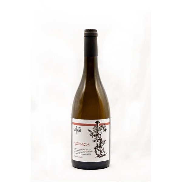 Sonata  - Souvignier Gris macerato anfora