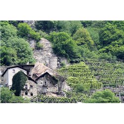 Cave De Donnas  - Donnas Superieur 2017  0,750 L.