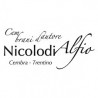 Nicolodi az Vinicola