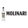 Molinari Sambuca Spa