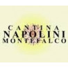 Matteo Napolini Az. Agricola
