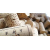 Cantina Fay Soc. Agricola Sondrio
